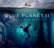 《蓝色星球2》16年后归来，微鲸投影大屏享豆瓣9.9分神作