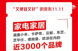 京东11.11趋势品类表现亮眼 Mini LED电视成交额同比增长超12倍