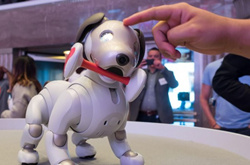 索尼机器狗Aibo正式登陆美国市场：售价2万人民币