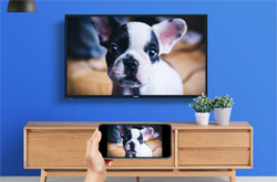 经济实惠小尺寸电视来袭  你看中哪款了？