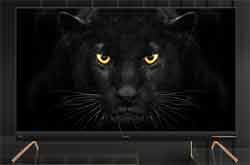 创维A8黑豹系列高性能音画智慧屏新品首发