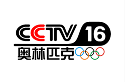 央视CCTV-16将转播卡塔尔世界杯 支持4K超高清