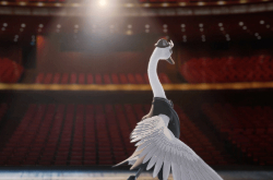 国家大剧院首位虚拟员工亮相：一只会跳芭蕾的鹅